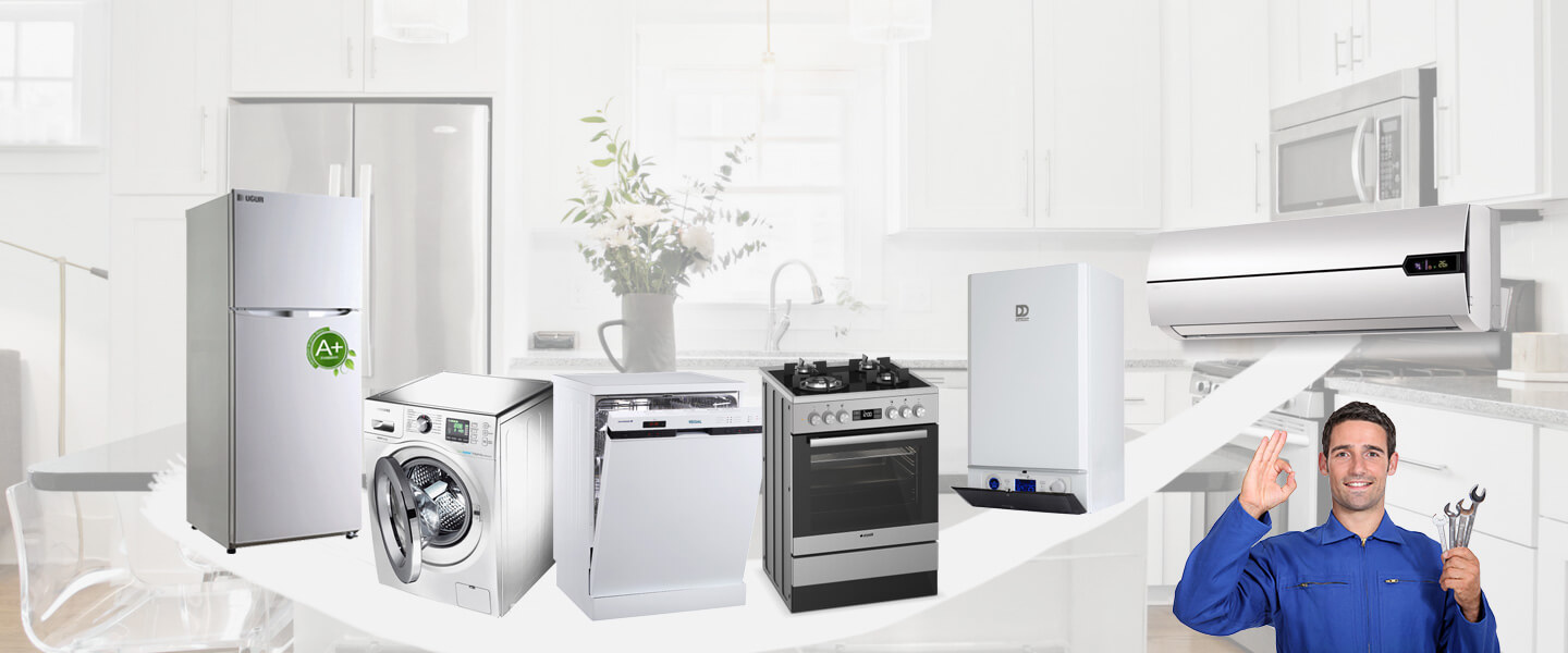 Malazgirt Electrolux Servisi